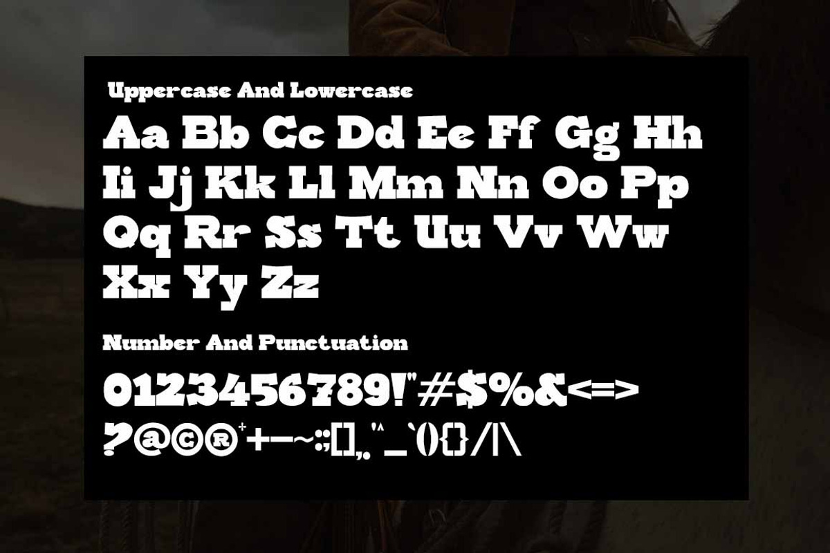 Marcopolo, a Slab Serif Font by Zaenal Studio (Photo 5 of 14)