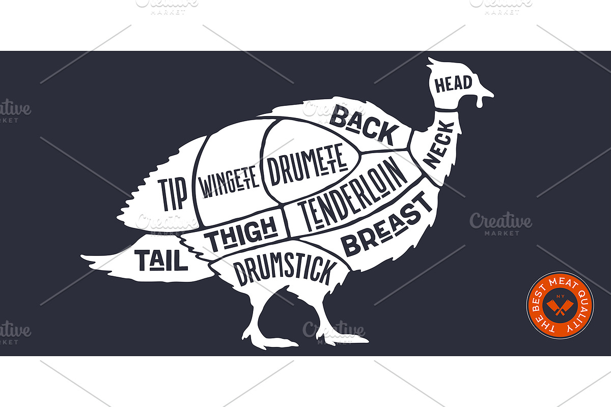 Turkey, poultry, hand-drawn, a Food Illustration by Foxys Graphic (Photo 1 of 3)