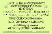 Rhythm The Night Modern Editorial, a Serif Font by timelesstype.co (Thumbnail 10 of 10)