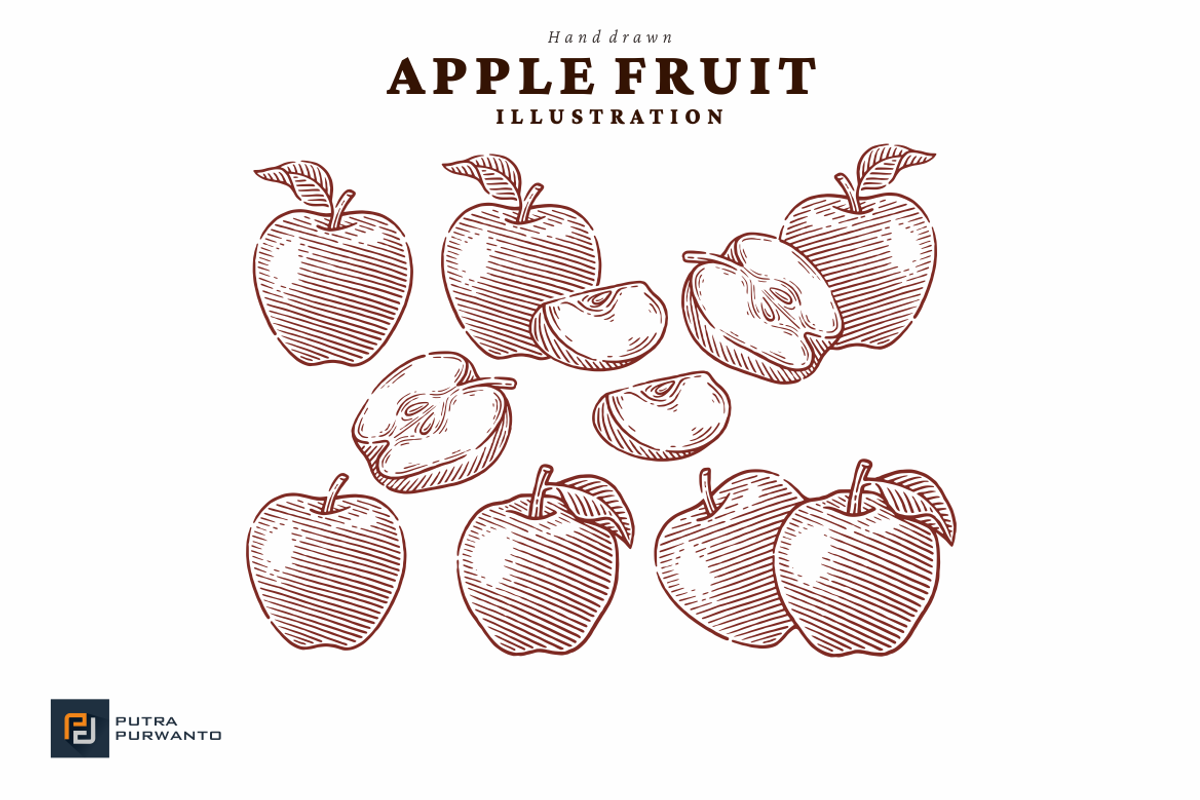 Vintage Apple Engraving Illustration, a Food Illustration by putra_purwanto (Photo 2 of 3)