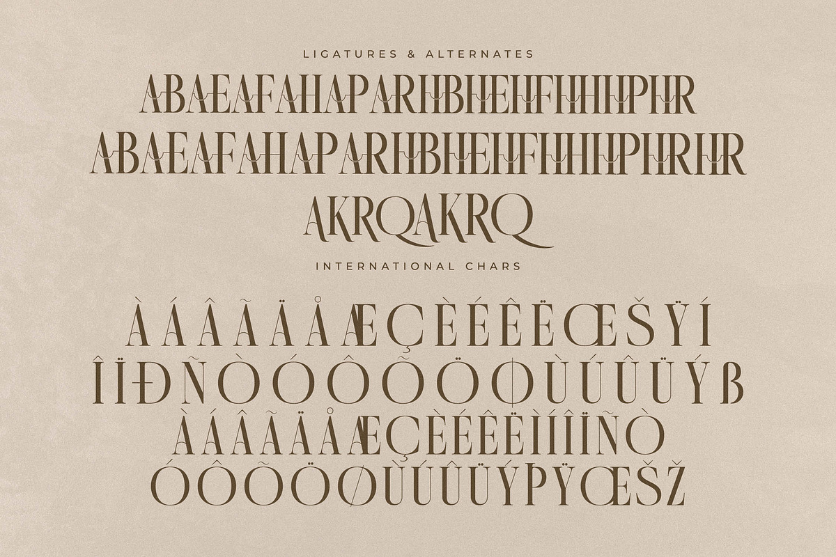 Quartens New Modern Display, a Serif Font by Storytype Studio (Photo 14 of 15)