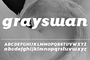 Grayswan font family, a Serif Font by vlad.berla (Thumbnail 3 of 8)