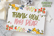 Teaberry Essence - Sweetness Playful, a Font by Gassstype (Thumbnail 8 of 8)