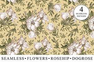 Set Seamless Flowers Dogrose Pattern