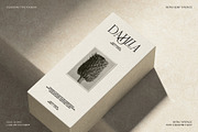 Frosty Garden - Elegant Retro Serif, a Serif Font by SilverStag Type Foundry (Thumbnail 14 of 19)