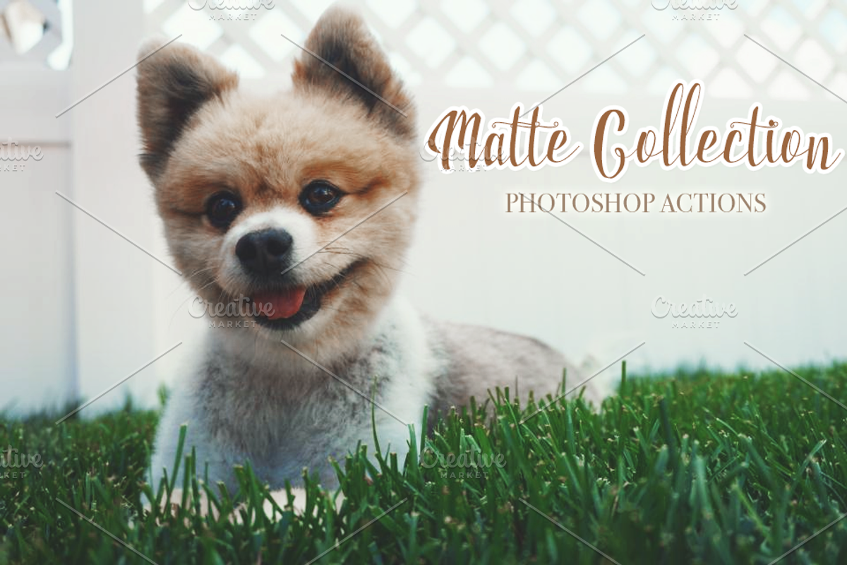 Matte Photoshop Actions, an Action Add-On by TeaBerry (Photo 1 of 5)