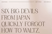 Chavler Disco, a Serif Font by Craft Supply Co. (Thumbnail 5 of 8)