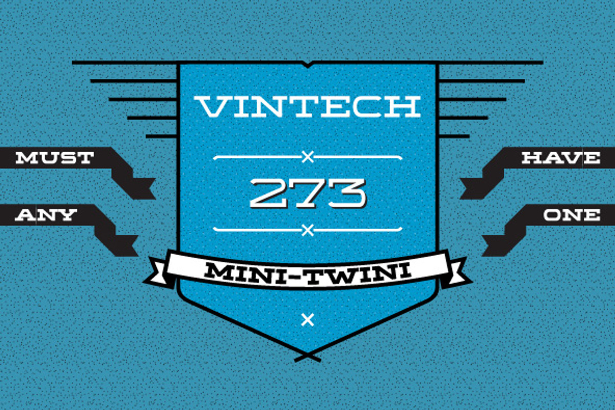 WideDisplayRibbon Bold preview 4
