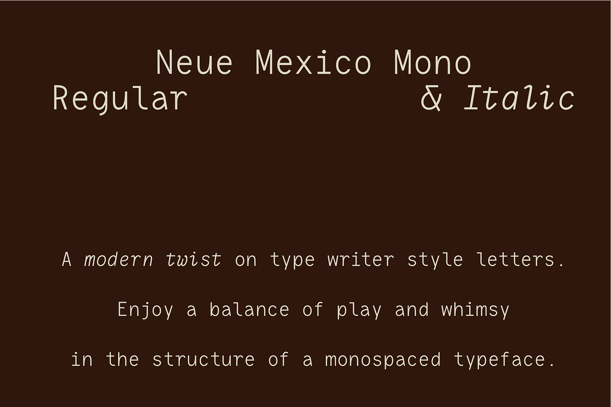 Neue Mexico Mono, a Sans Serif Font by MEG BURK CHOI (Photo 1 of 3)
