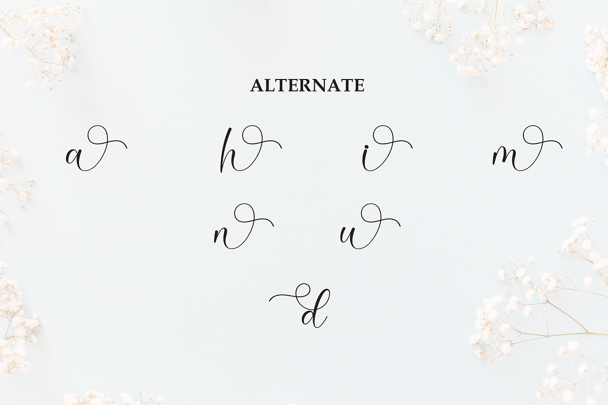 Melinda | Script Font, a Handwritten Font by Scratchones (Photo 8 of 9)