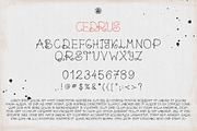 Cedrus Font, a Font by Webvilla Studio (Thumbnail 5 of 5)