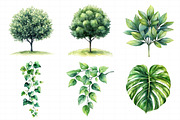 Green Trees and Leaves Clipart, an Illustration by Daily.Designs (Thumbnail 5 of 8)