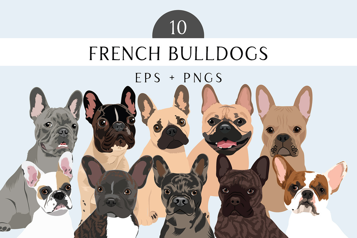 French Bulldog Clipart Illustrations, an Illustration by Putnam Road Art (Photo 1 of 3)