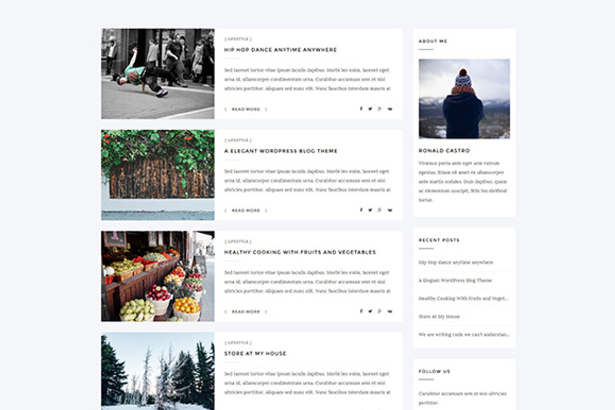 Aresivel -WordPress Blog Theme, a WordPress Template by myshopkit (Photo 8 of 14)