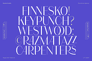 Nereida Variable, a Sans Serif Font by Latinotype (Thumbnail 6 of 10)