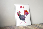 Watercolor Roosters Set, an Animal Illustration by Bibela (Thumbnail 3 of 3)