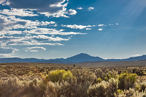 Colorado Desert