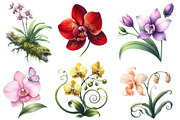 Watercolor Orchid Clipart, an Illustration by Designworld (Thumbnail 4 of 7)