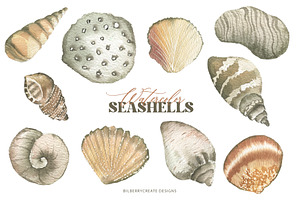 Watercolor Seashells Art Set