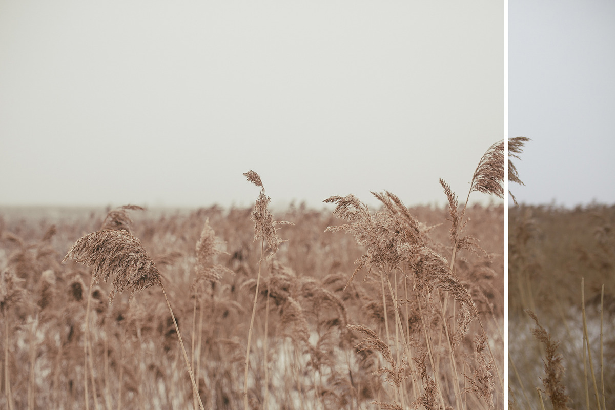 Foggy fields- 6 presets for Lr, an Action Add-On by Graphics, Presets, Photos (Photo 3 of 7)
