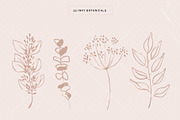 Organic Botanicals & Logo Designs, an Illustration by amber&ink (Thumbnail 7 of 17)