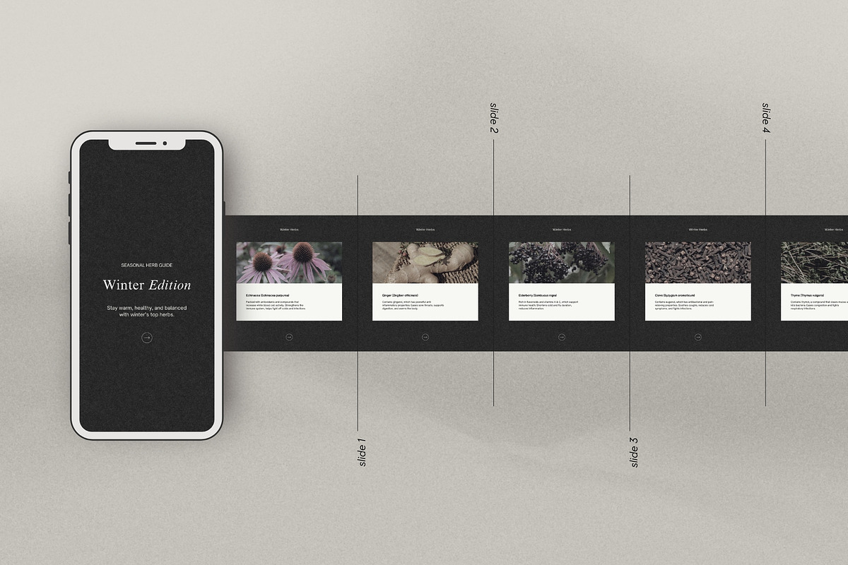 Herbalist Carousel Post Templates, a Social Media Template by Terraa Studio Design (Photo 8 of 9)