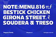 Paquero Sans Family, a Sans Serif Font by Propertype (Thumbnail 7 of 11)
