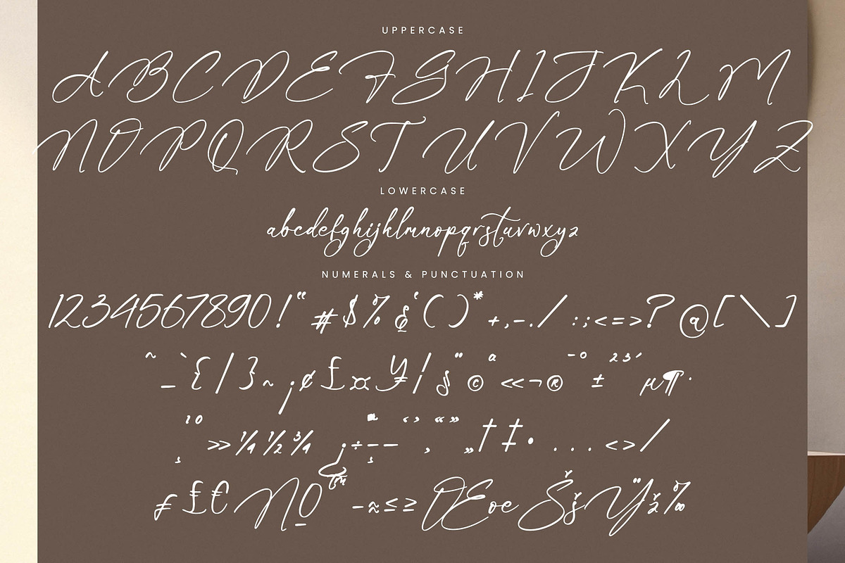 Brooken Rubentos, a Script Font by Integritype Studio (Photo 13 of 15)