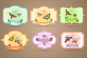 Insects Vector Set