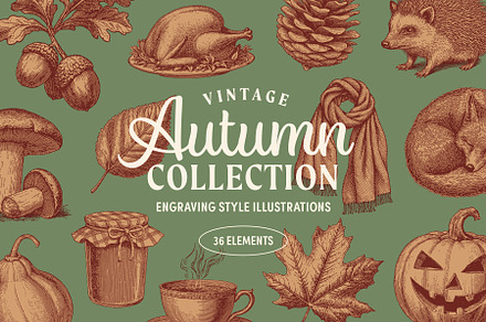 Vintage Autumn Illustrations, a Seasonal Illustration by Graphic Goods