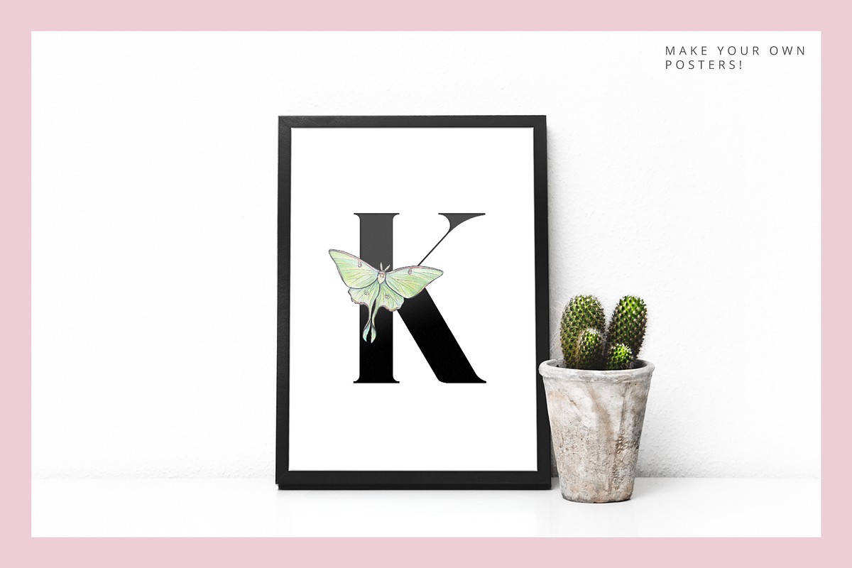 Ethereal Graphic Set & Fonts, an Animal Illustration by Riveros Illustration (Photo 9 of 14)