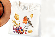 Autumn American Robin Bird Clipart, an Illustration by Watercolor design (Thumbnail 4 of 5)