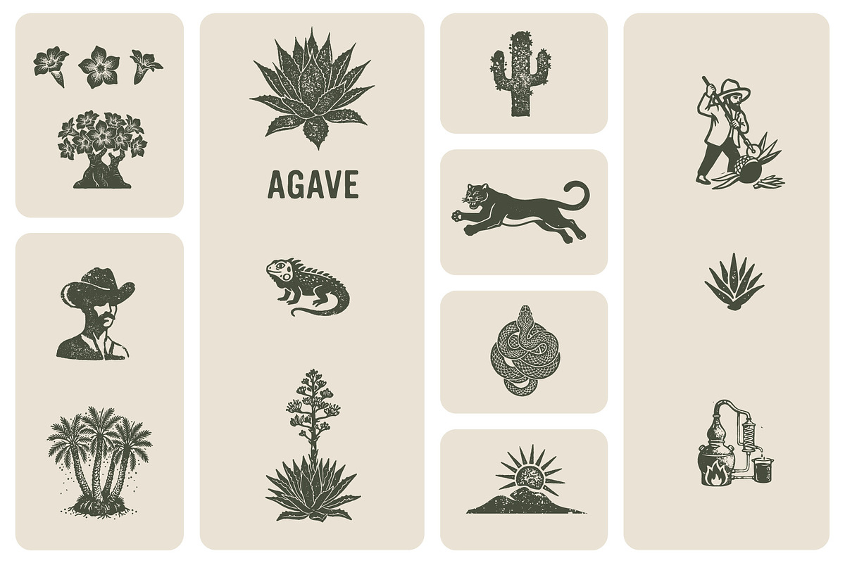 Agave & Tequila Vintage Vectors, an Object Graphic by Craftrick (Photo 8 of 9)