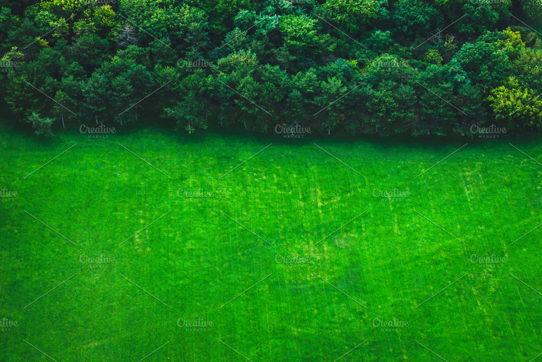 Green meadow top view, an Abstract Photo by Juicy Photography