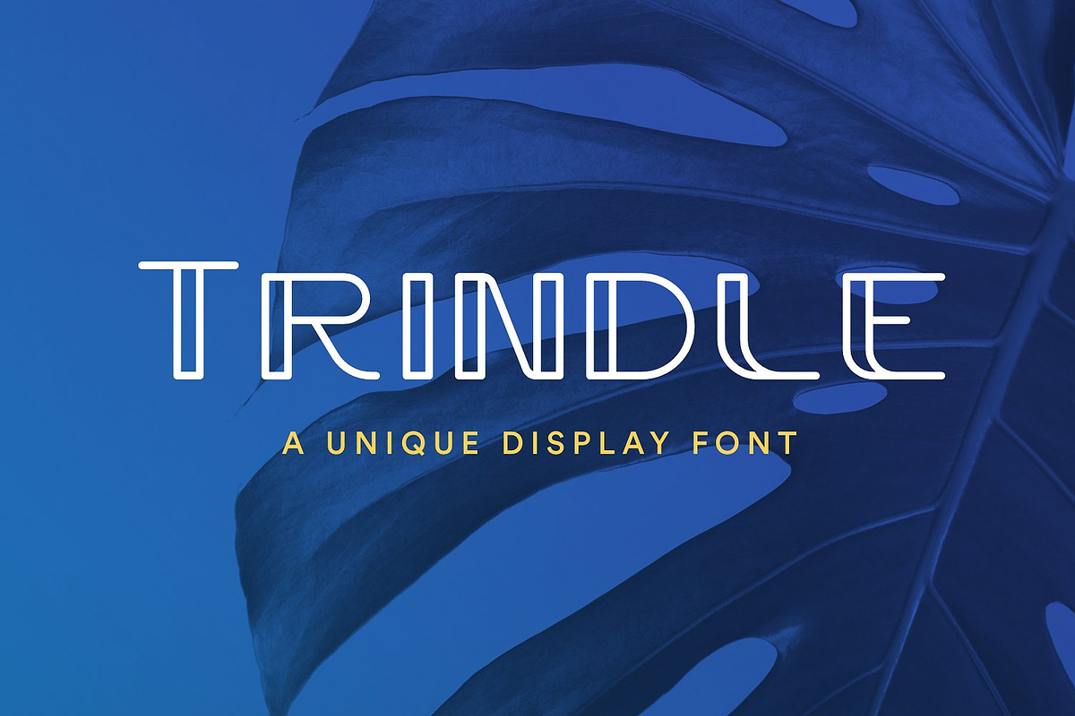 Glyph 44 | Font Bundle, a Sans Serif Font by Glyph44 (Photo 13 of 25)