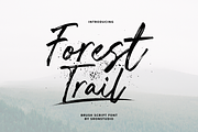 Forest Trail - Brush Script, a Script Font by Sronstudio (Thumbnail 1 of 10)