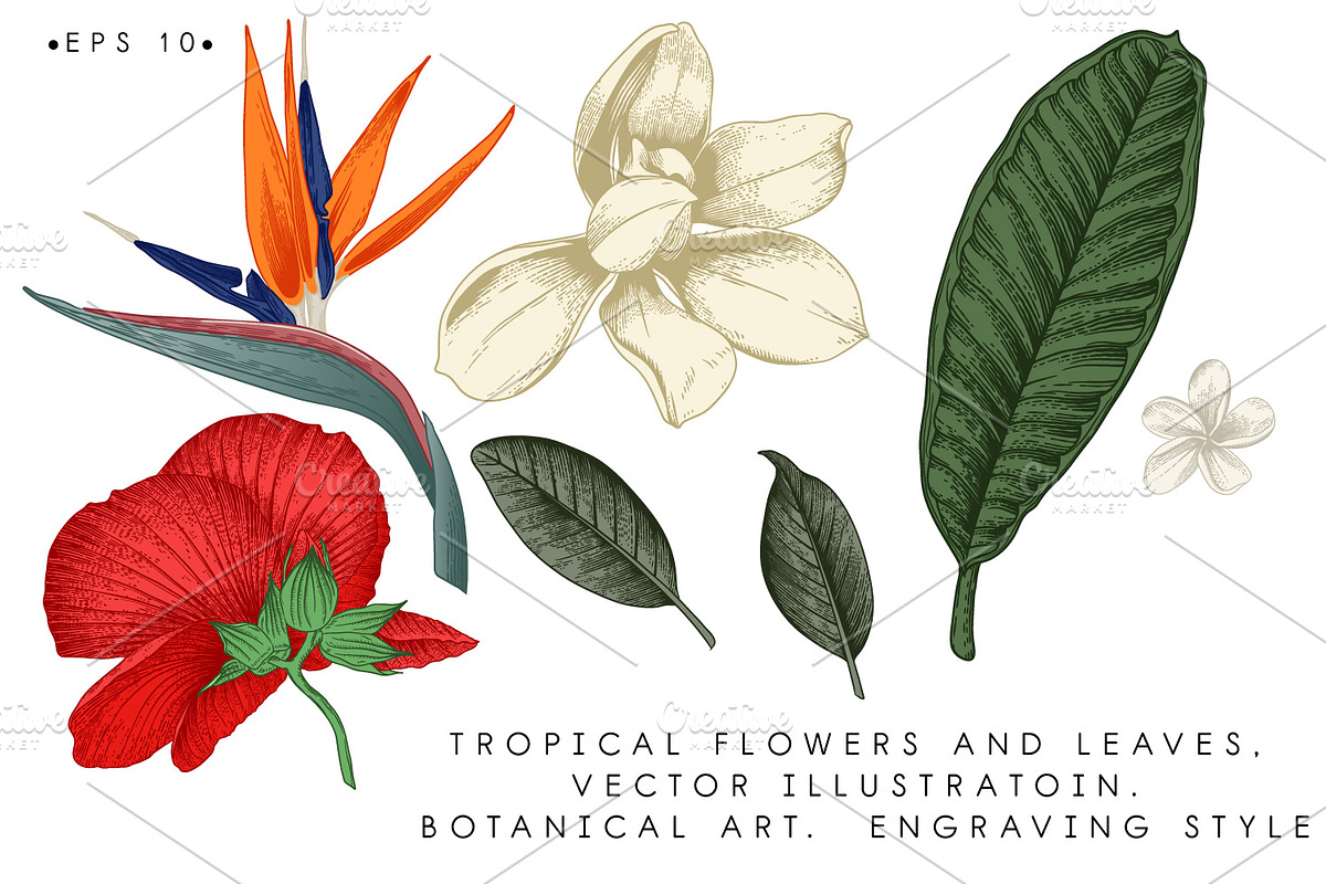 Tropical flowers. VECTOR, a Pattern Graphic by ollalya (Photo 5 of 8)