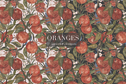 Pattern Oranges, a Decorative Illustration by PASHKOVA (Thumbnail 15 of 15)