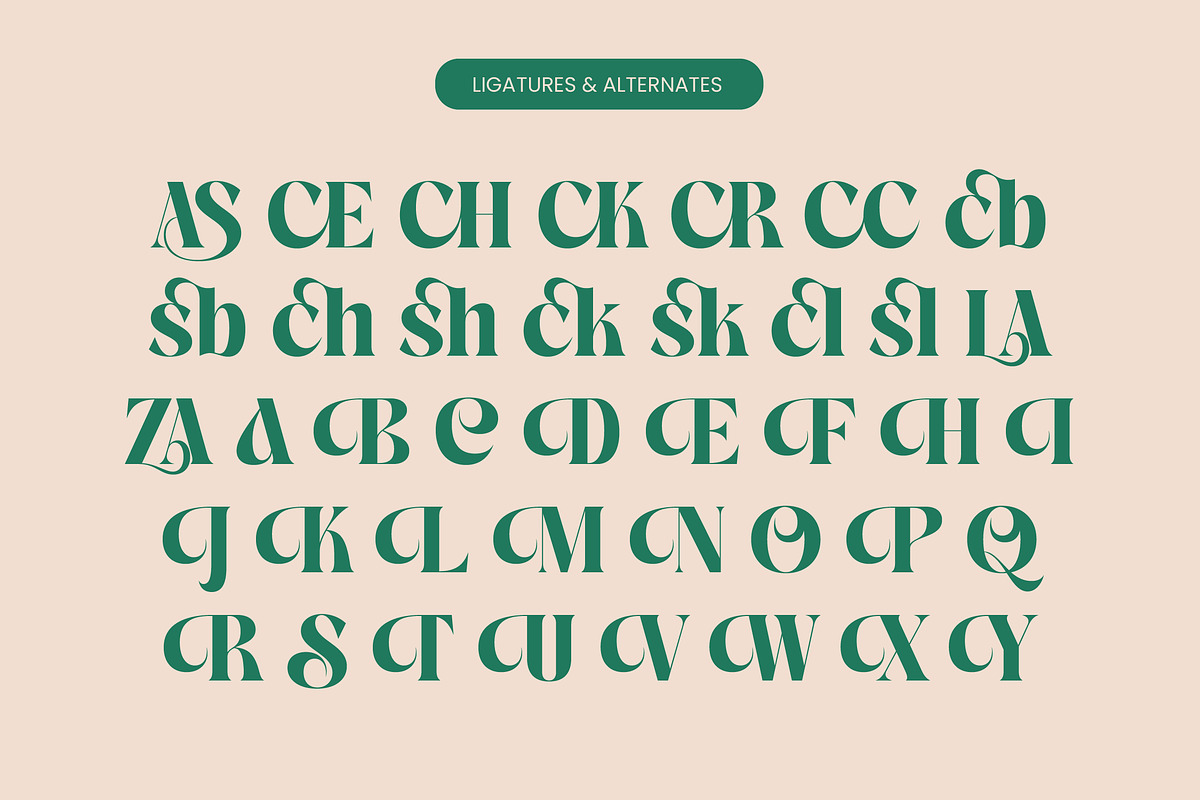 The Bencoy Modern Serif Display, a Serif Font by timelesstype.co (Photo 18 of 20)