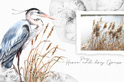 Watercolor Nature and Birds set, an Illustration by Alamella (Thumbnail 4 of 13)