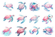 Coastal Sea Turtle Clipart, an Illustration by Dream Creation (Thumbnail 5 of 6)