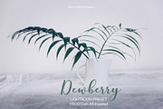 Desktop Lightroom Presets DEWBERRY, an Action Add-On by Victoria Bee Presets (Thumbnail 9 of 18)