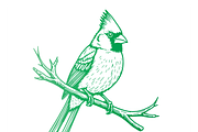 Elegant Cardinal Illustration, a Food Illustration by CarWrap design (Thumbnail 2 of 3)