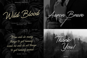 Font Bundles Sale / Monoline Script