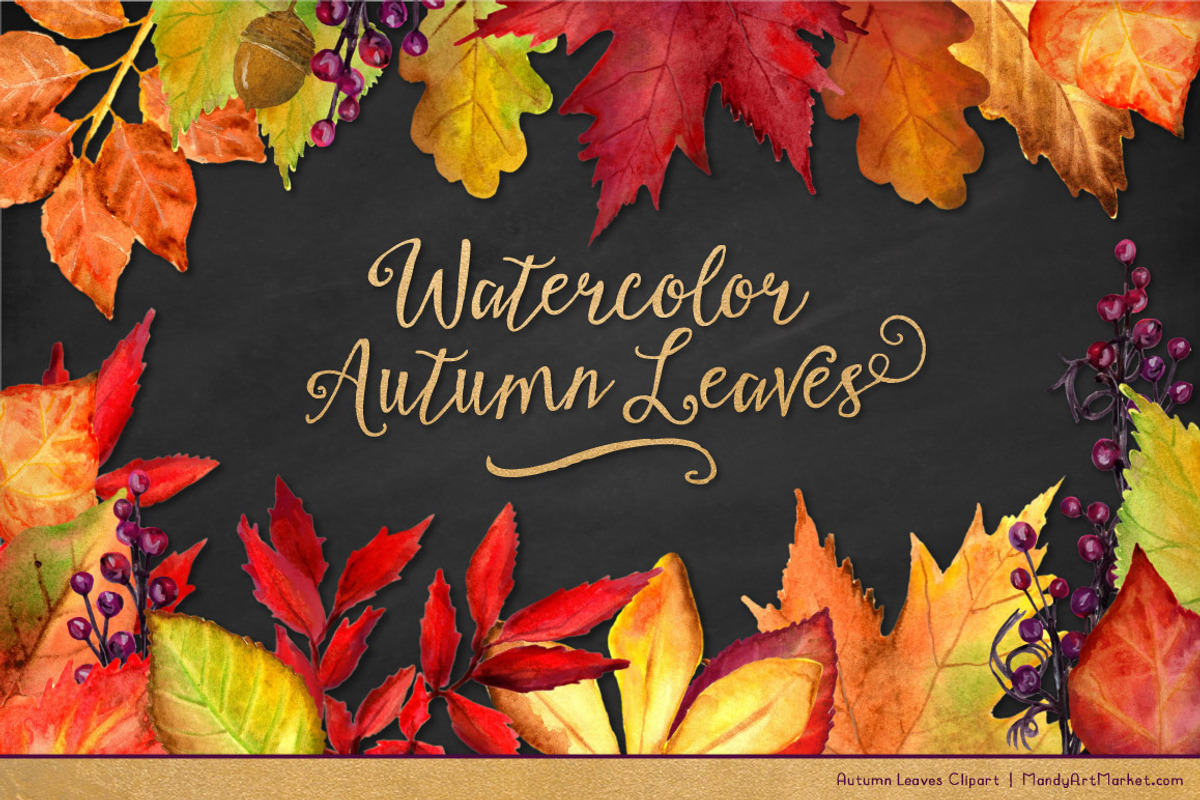 Watercolor Autumn Leaves Clipart, an Illustration by Amanda Ilkov (Photo 2 of 3)