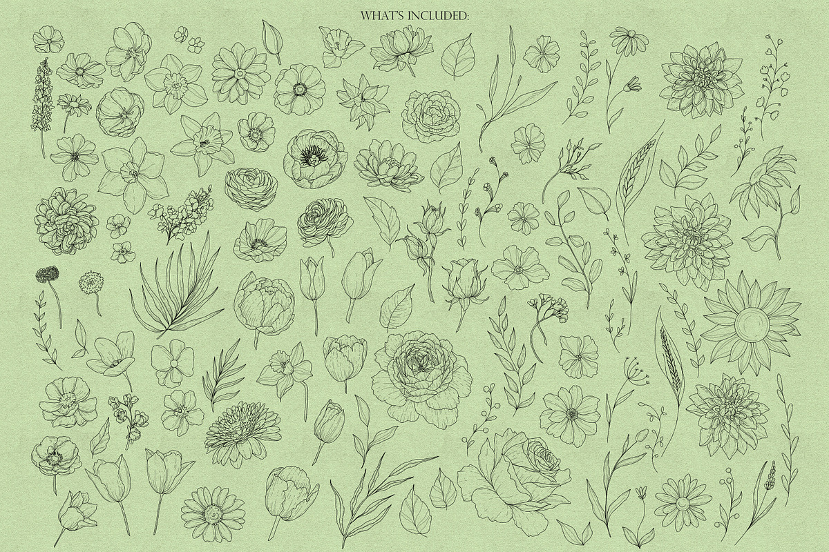 Garden Flowers Procreate Stamps, a Brush Add-On by Dervik Art Store (Photo 2 of 7)