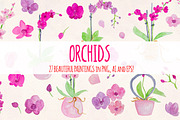 27 Pretty Watercolor Orchid Flowers, an Illustration by Violet LeBeaux (Thumbnail 1 of 3)