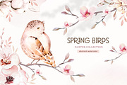 Watercolor spring birds collection, an Animal Illustration by Peace ART (Thumbnail 1 of 12)