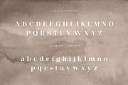 Silneva – Elegant Display Serif Font, a Serif Font by BrandSemut (Thumbnail 7 of 9)