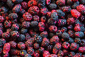 Wild Blackberries Background Texture, a Photo by THP Creative